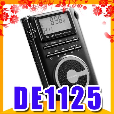 DEGEN DE1125 FM / MW / SW DSP Радыё / 2GMP3 / рэкордэр